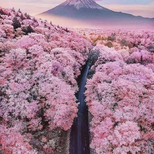 بهروز گراوند اری داره گی در مال لیلا